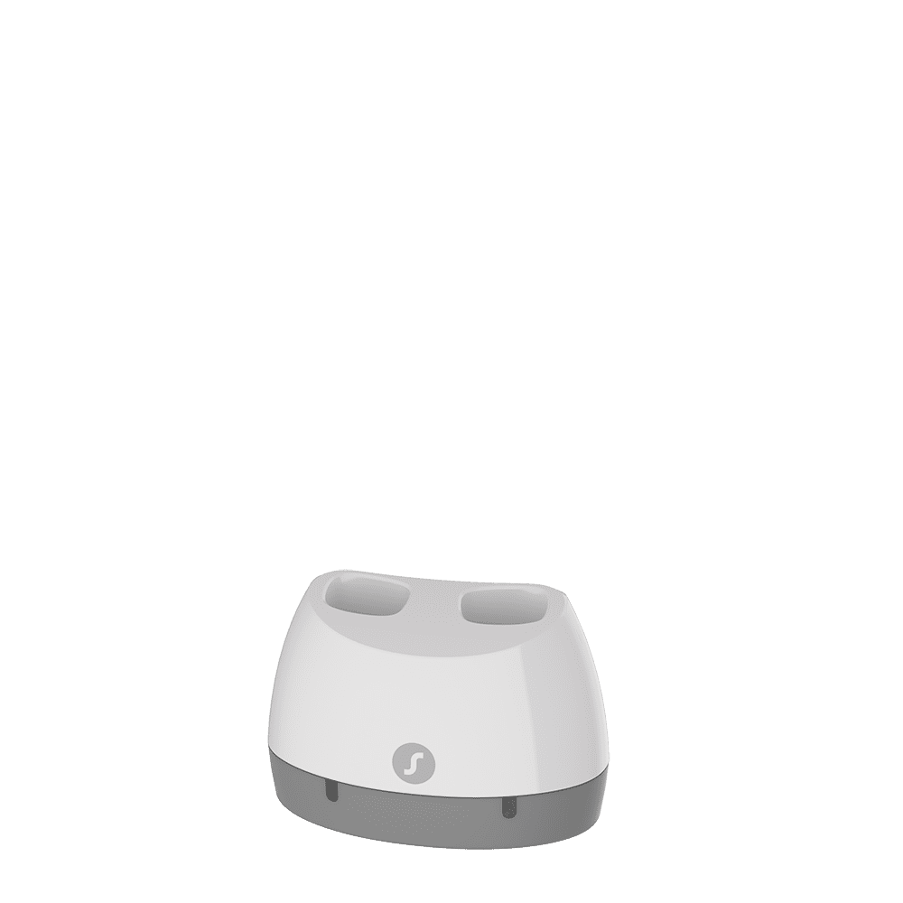 Signia Pure Charge and Go Standard Charger