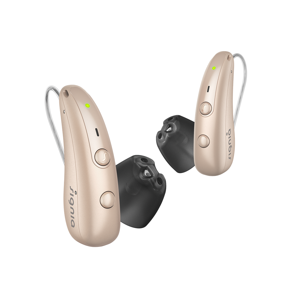 Signia Pure Charge&Go BCT 3 IX - inklusive vollem Service