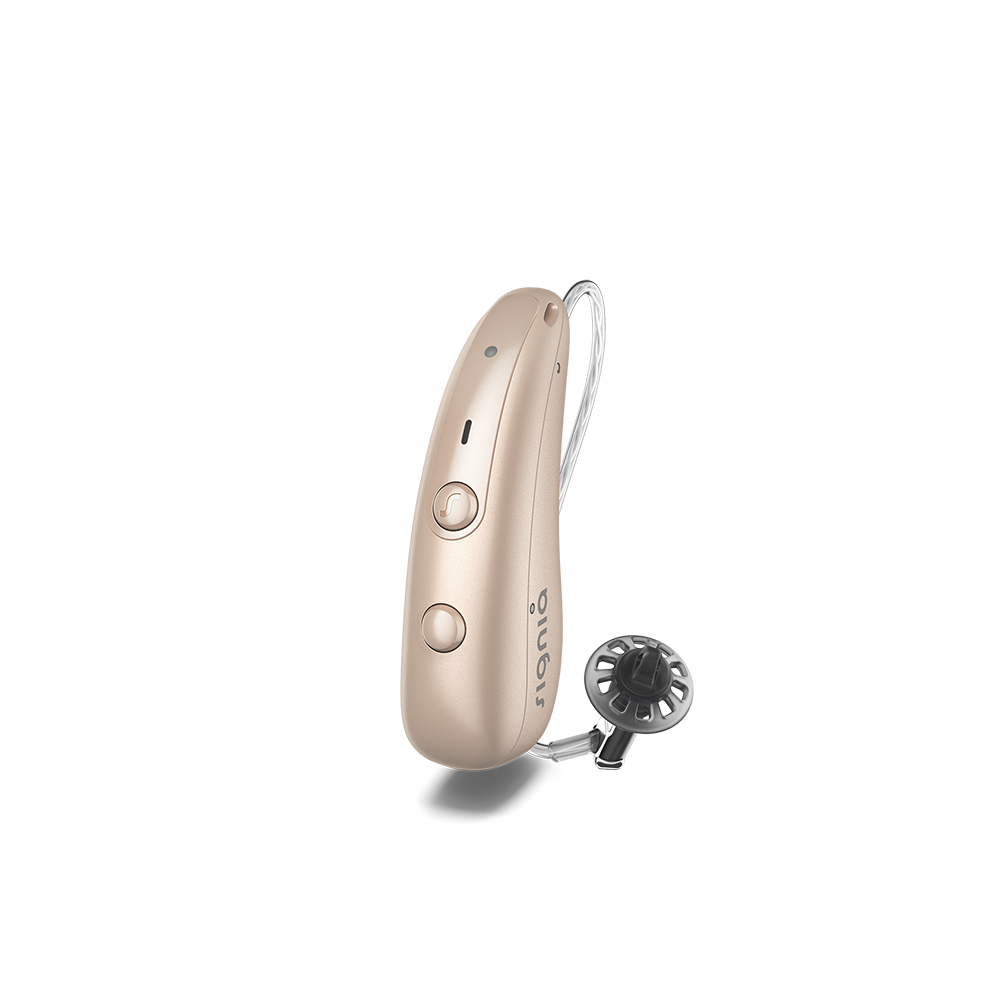 Signia Pure Charge&Go BCT 3 IX - inklusive vollem Service
