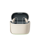Phonak Terra + Ric R